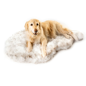 Fashion Luxury Portable Cama Para Perro Indoor Sleeping Washable Large Pet Cat Couch Sofa Cushion Beds